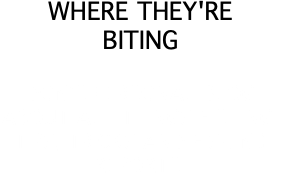 WHERE THEY'RE BITING DON'S PERSONAL BLOG ABOUT ALL THINGS FISHING! TIPS, TRICKS AND FISHING REPORTS!